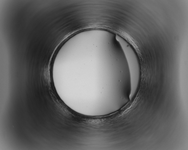X0000092240892200710121234