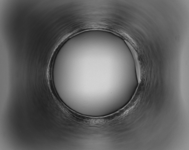 X0000092240893200710121234
