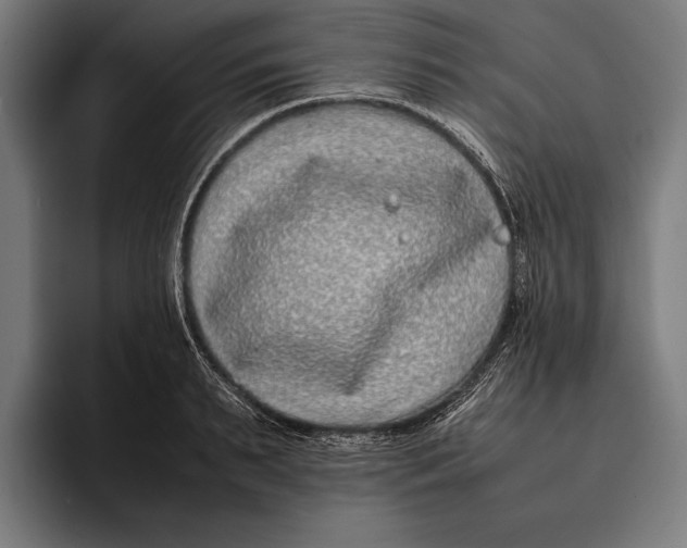 X0000092240895200710121234