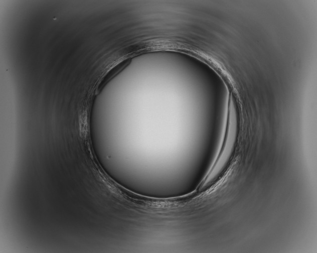 X0000092240897200710121234