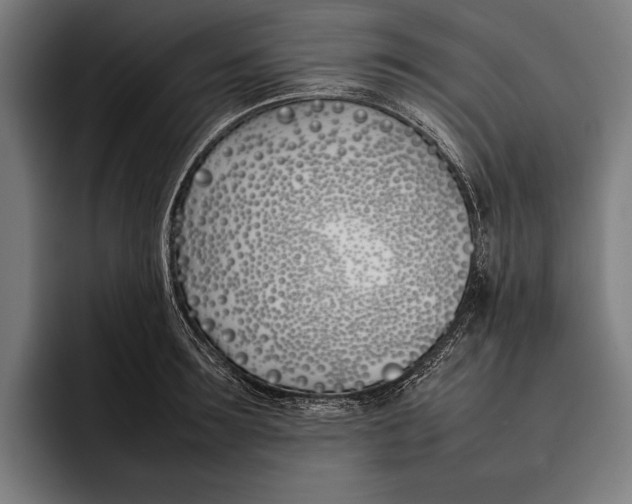 X0000092240899200710121234
