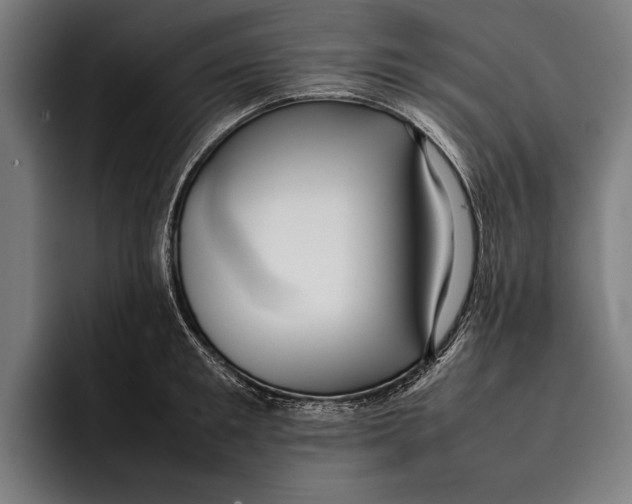 X0000092240901200710121234