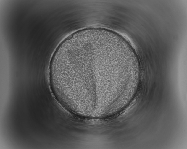 X0000092240903200710121234