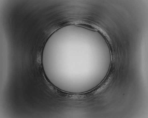 X0000092240905200710121234