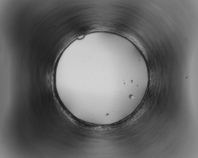 X0000092240906200710121234