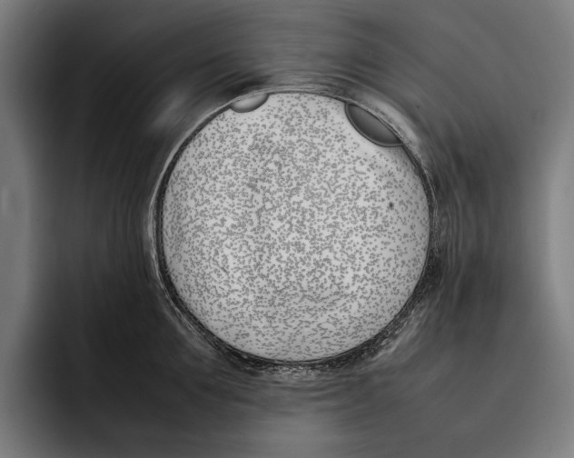 X0000092240907200710121234