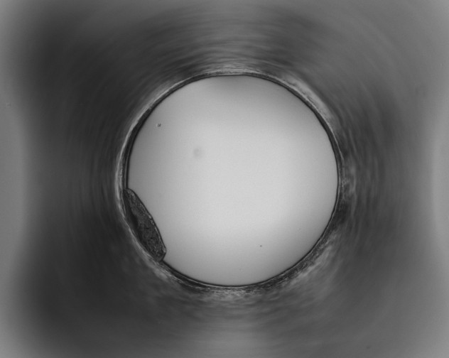 X0000092240909200710121234