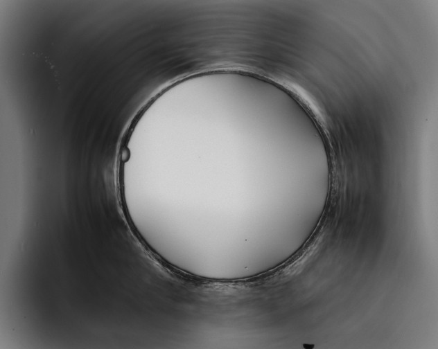 X0000092240910200710121234