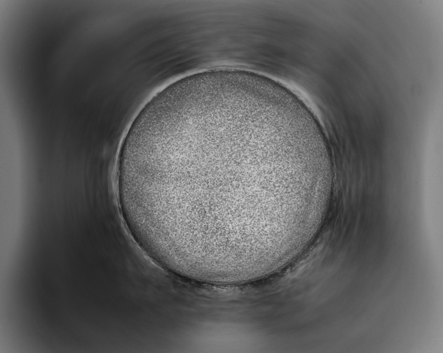 X0000092240911200710121234