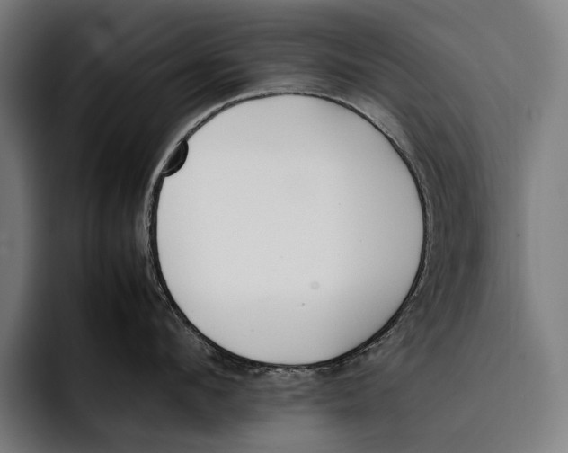 X0000092240912200710121234