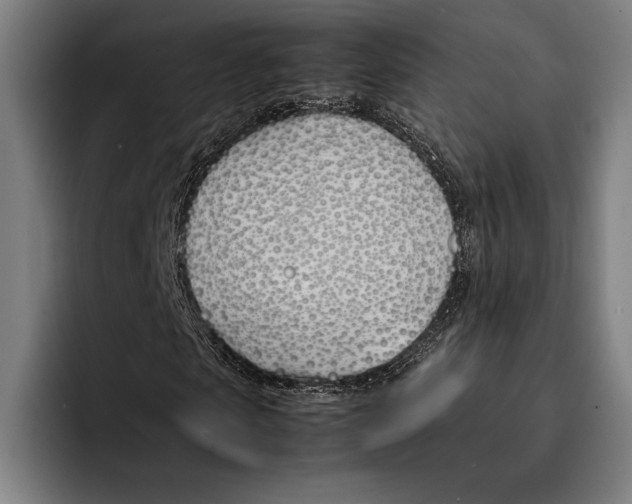 X0000092240913200710121234