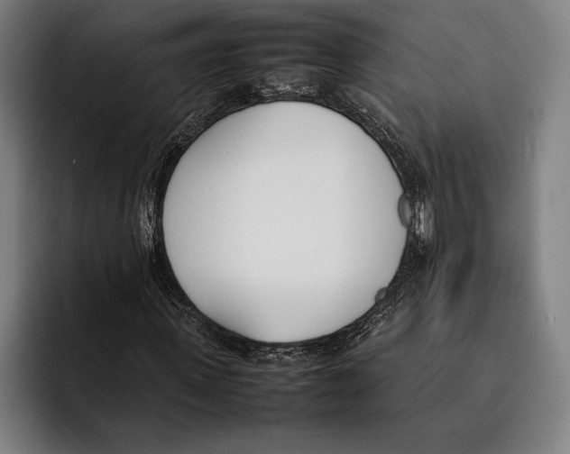 X0000092240915200710121234
