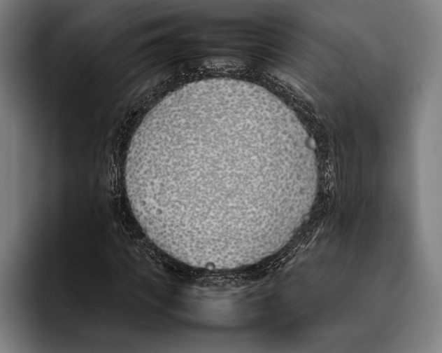 X0000092240917200710121234