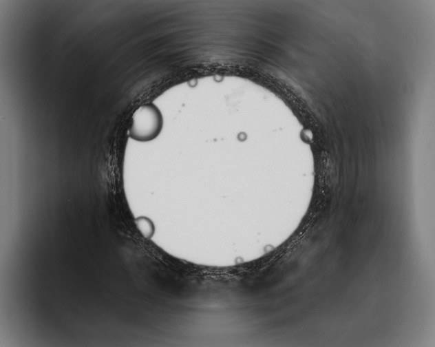 X0000092240918200710121234