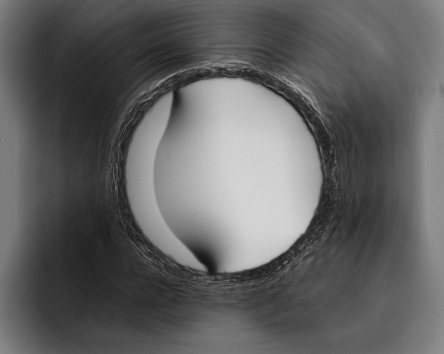 X0000092240920200710121234