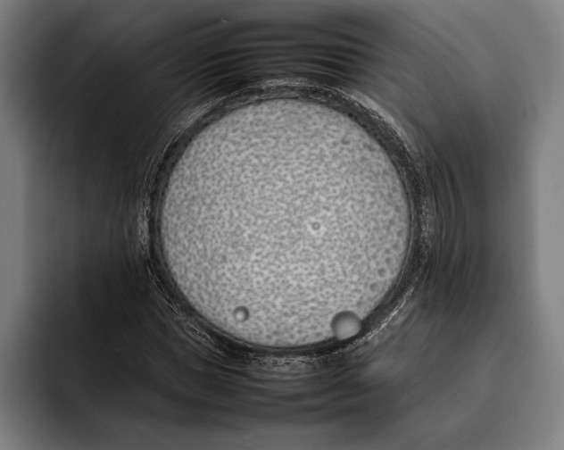 X0000092240921200710121234