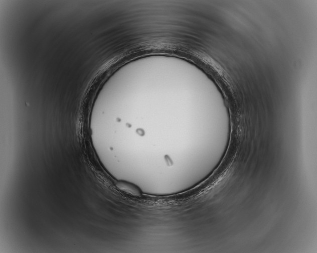 X0000092240922200710121234