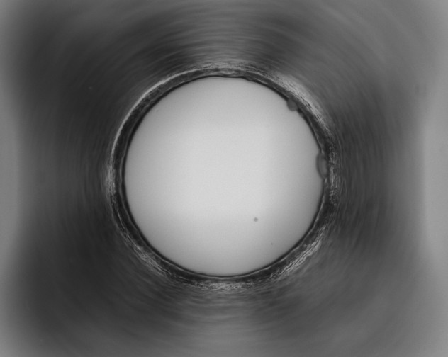 X0000092240924200710121234
