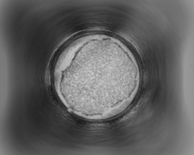 X0000092240925200710121234