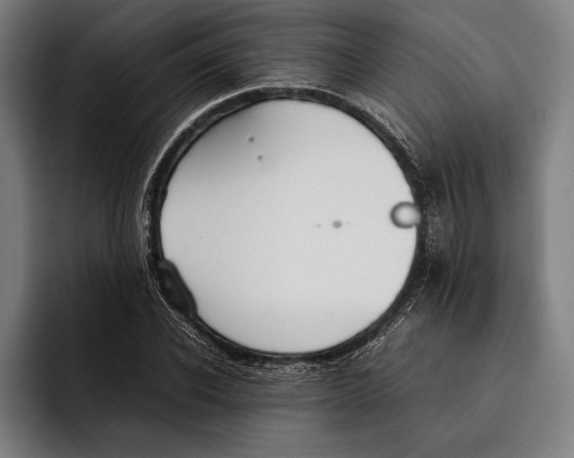 X0000092240926200710121234