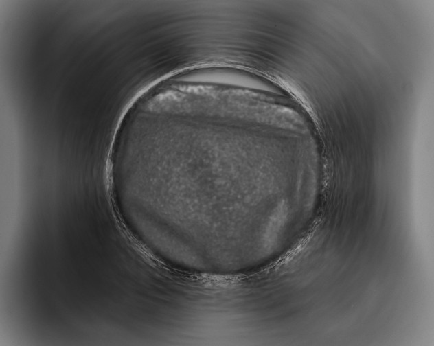 X0000092240928200710121234