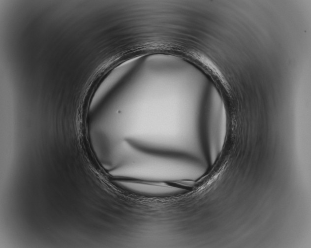 X0000092240930200710121234