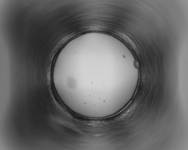 X0000092240938200710121234