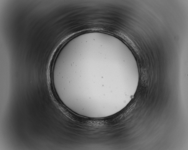 X0000092240939200710121234