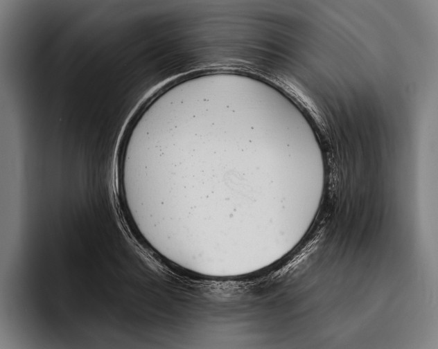 X0000092240940200710121234