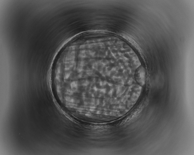 X0000092240941200710121234