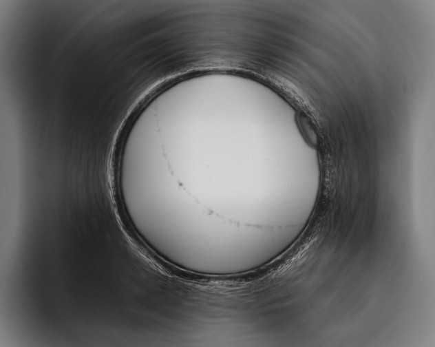 X0000092240942200710121234
