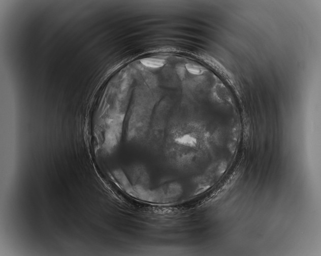 X0000092240945200710121234