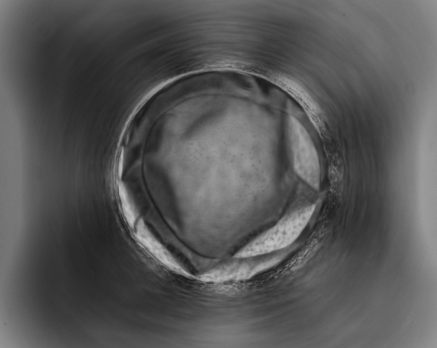 X0000092240948200710121234