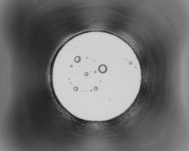 X0000092240950200710121234