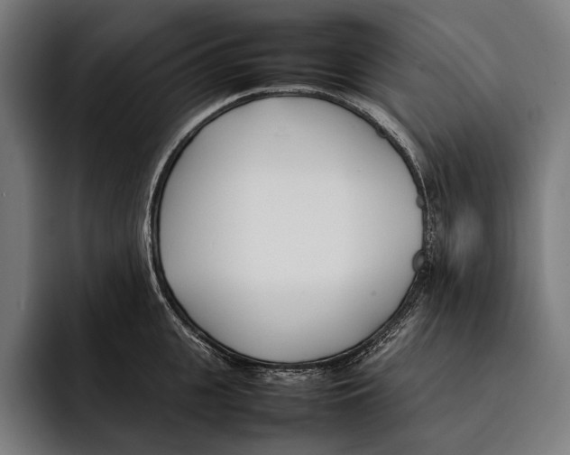 X0000092240951200710121234
