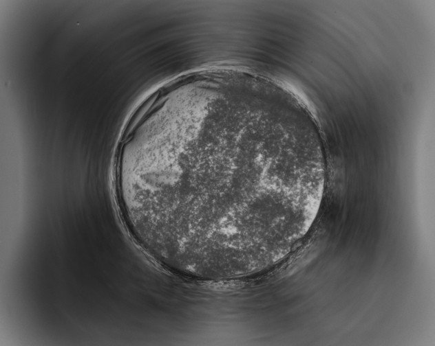 X0000092240952200710121234