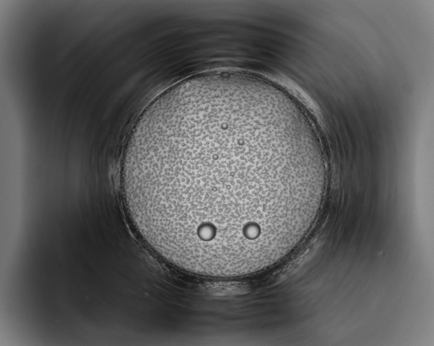 X0000092240953200710121234