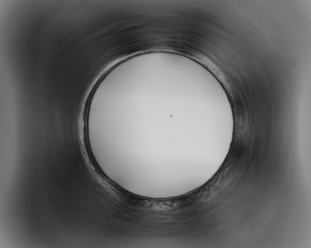 X0000092240955200710121234