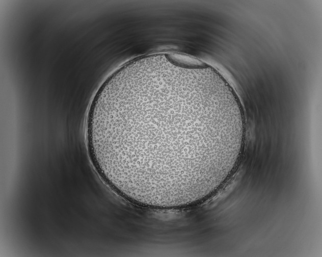 X0000092240957200710121234