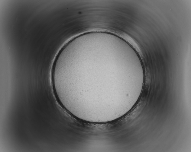 X0000092240958200710121234