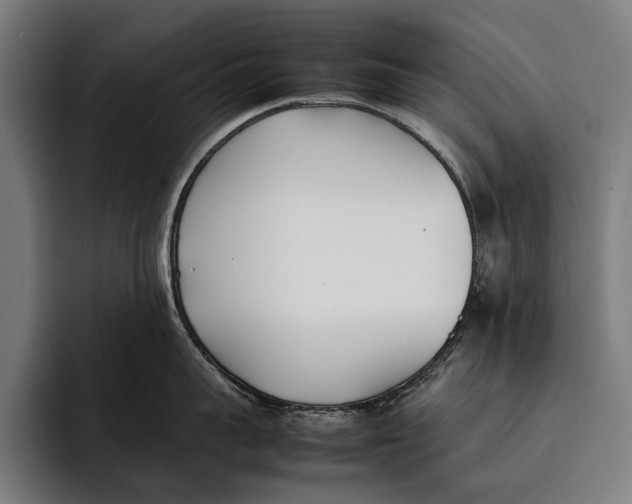 X0000092240959200710121234