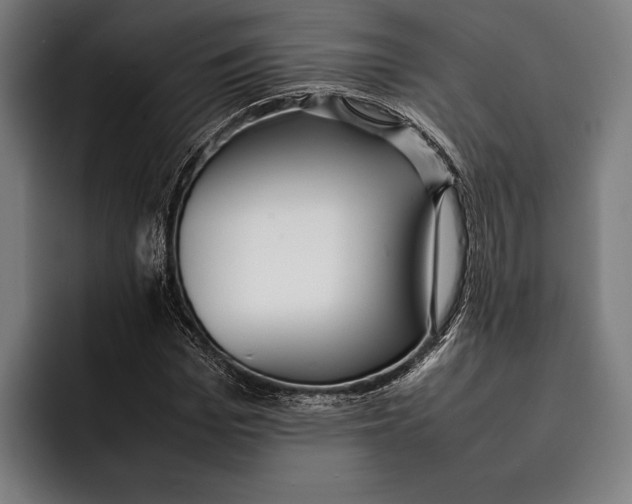 X0000092240969200710121234