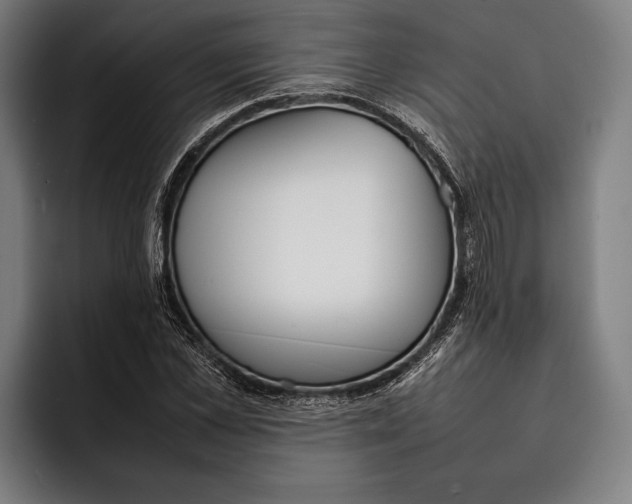 X0000092240973200710121233