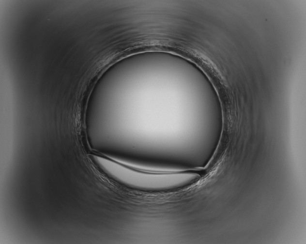 X0000092240977200710121233