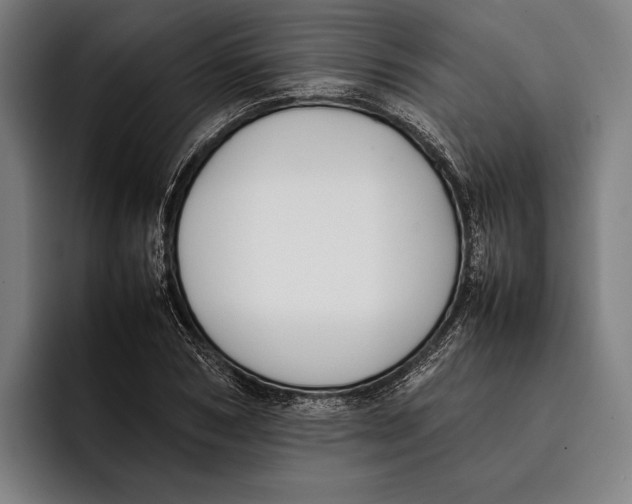 X0000092240978200710121233