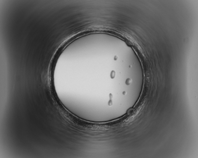 X0000092240981200710121233