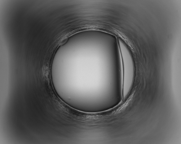 X0000092240985200710121233