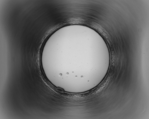 X0000092240986200710121233