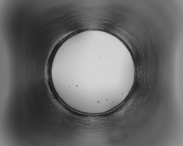 X0000092240987200710121233
