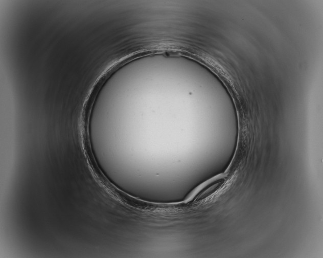 X0000092240989200710121233
